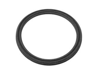 Victor Reinz Water Pump Flange O-Ring - 11111487596